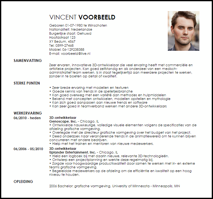 d ontwikkelaar voorbeeld cv