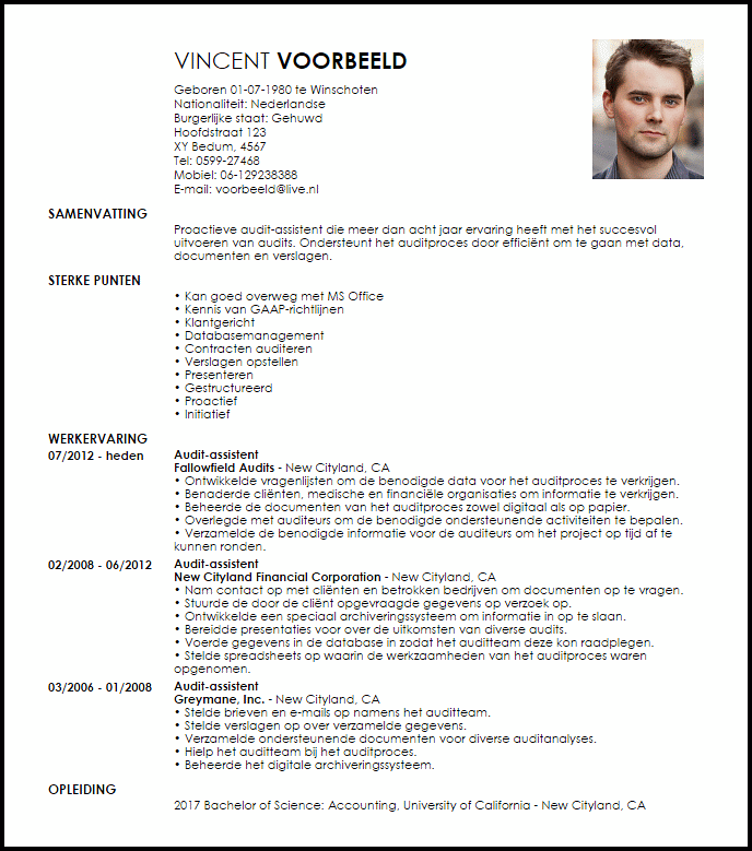 audit assistent voorbeeld cv