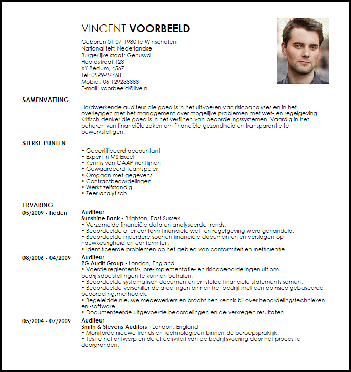 auditor voorbeeld cv