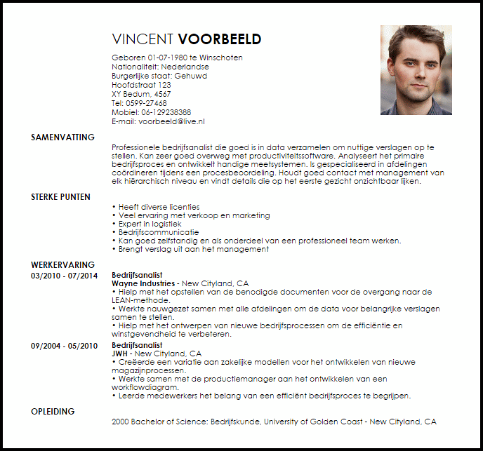 bedrijfsanalist voorbeeld curriculum