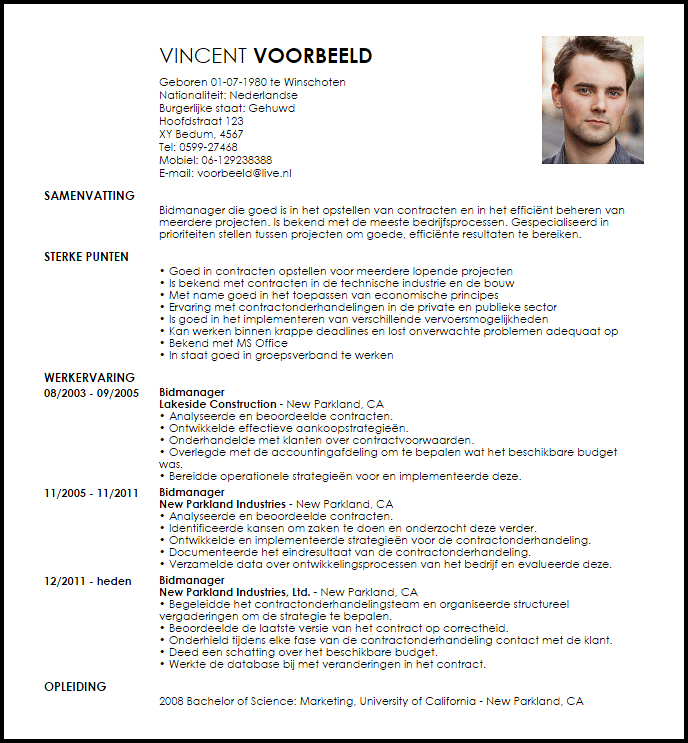 bidmanager voorbeeld cv