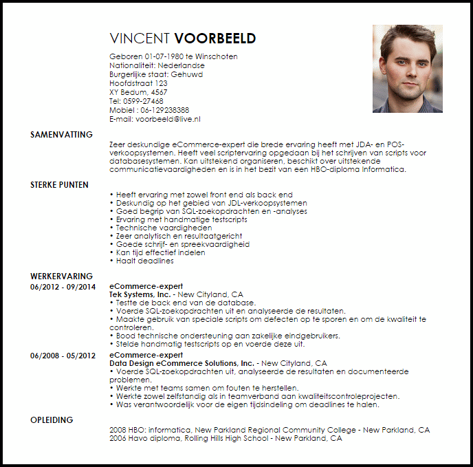 ecommerce expert voorbeeld cv