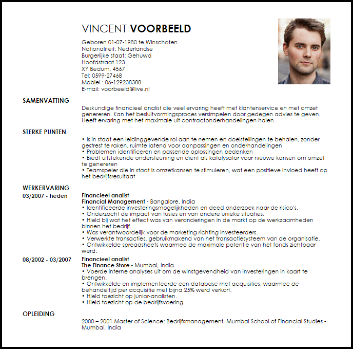 financieel analist voorbeeld cv