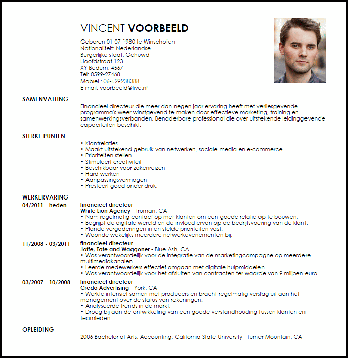 financieel directeur voorbeeld cv