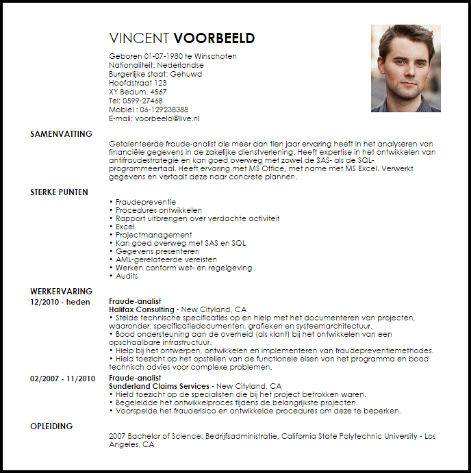 fraude analist voorbeeld cv