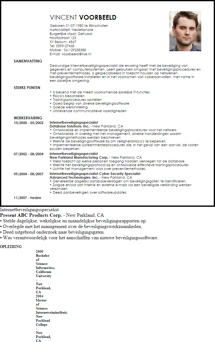 internetbeveiligingsspecialist voorbeeld cv