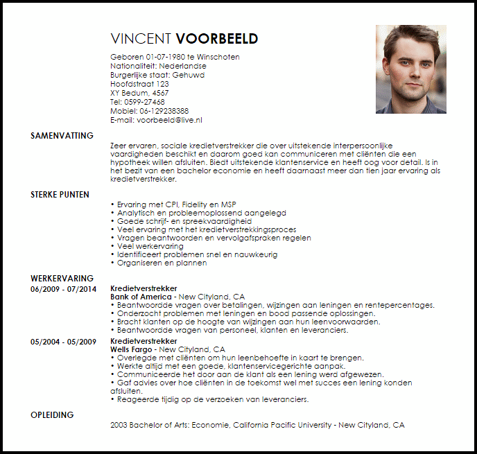 kredietverstrekker voorbeeld cv