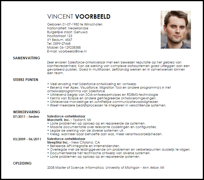 salesforce ontwikkelaar voorbeeld cv