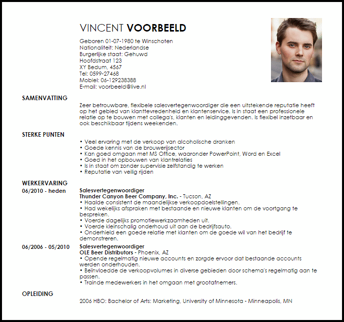 salesvertegenwoordiger voorbeeld cv