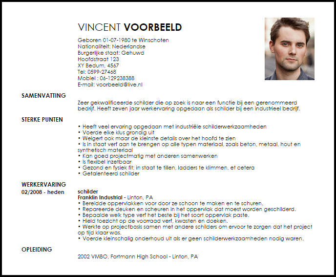 schilder voorbeeld cv