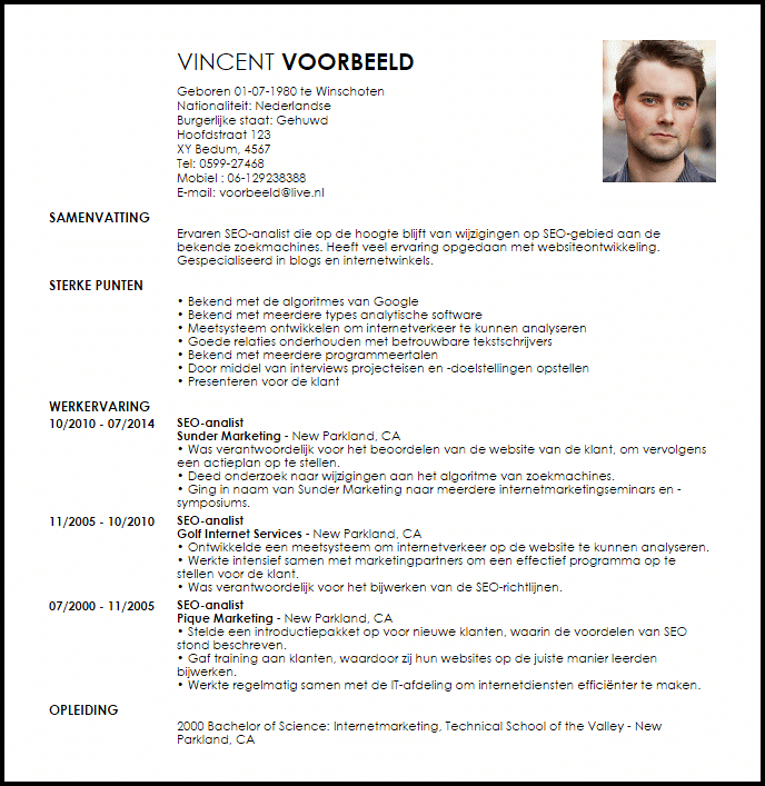 seo analist voorbeeld cv