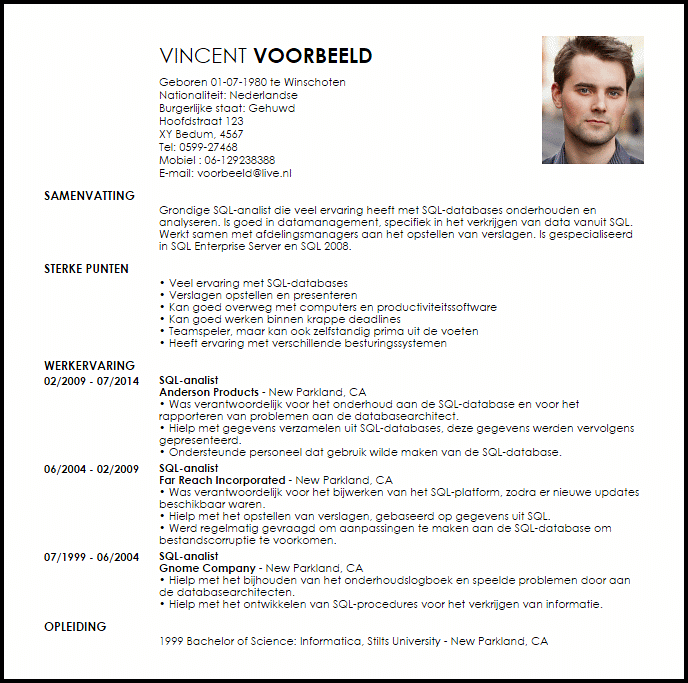 sql analist voorbeeld cv