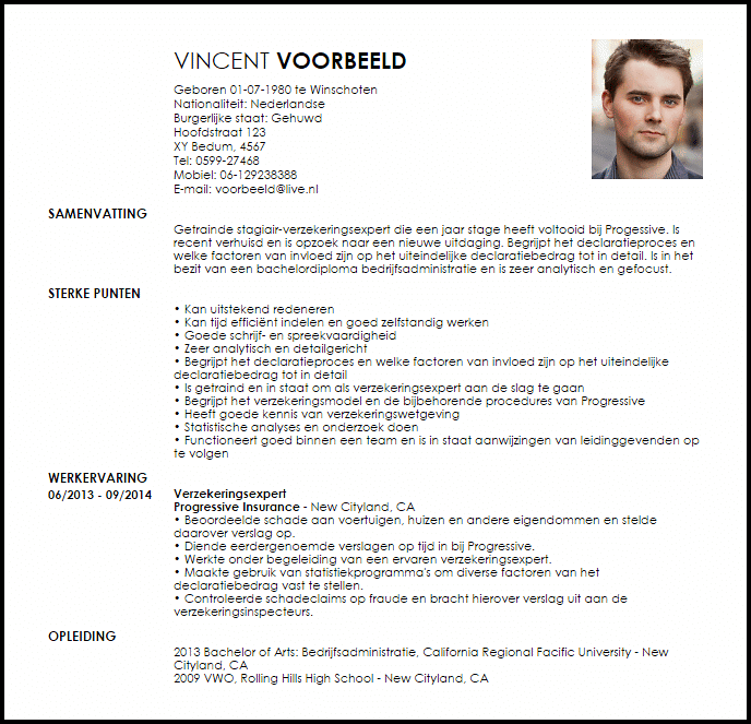 stagiair verzekeringsexpert voorbeeld cv